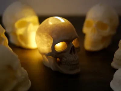 Skull Piggy Bank / Money Box