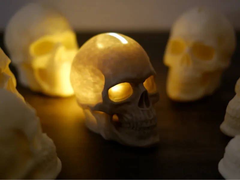 Skull Piggy Bank / Money Box