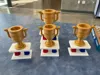 1st place 100%, 125%, and 150% multicolor