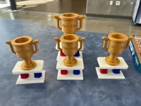 1st place 100%, 125%, and 150% multicolor