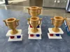 blank trophy, no text 100%, 125%, and 150%