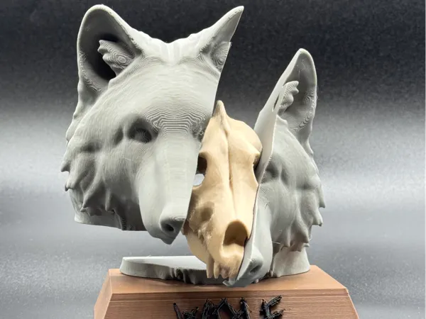 https://makerworld.bblmw.com/makerworld/model/USaffa9401d17229/design/2025-02-03_f361f722e5b89.jpg