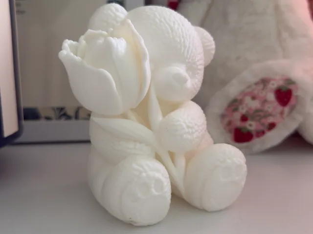 Cute Teddy Bear with Tulip | Nursery Decor