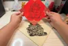 Caishen 2 0.2mm layer, 2 walls, 15% infill