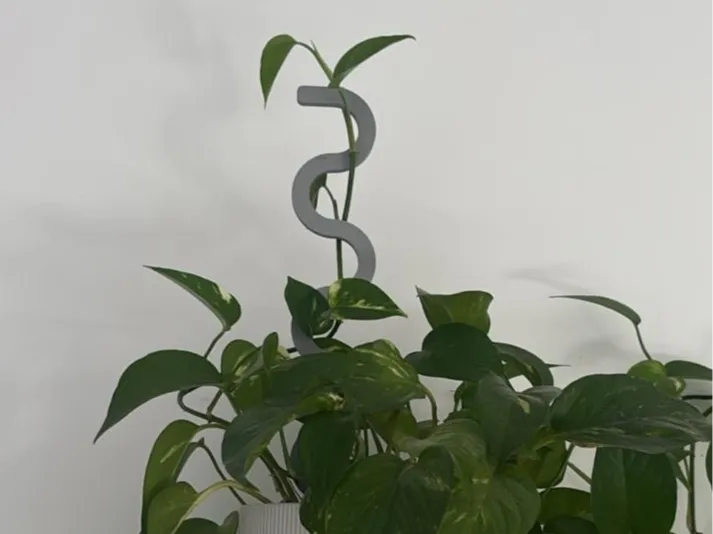Climbing Aid for house plants