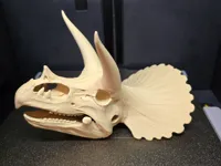 0.2mm layer, 2 walls, 7% infill