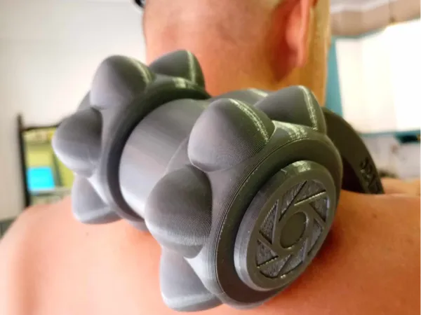https://makerworld.bblmw.com/makerworld/model/USb00f654a9c037/design/2024-08-31_bcf403d99b212.jpg