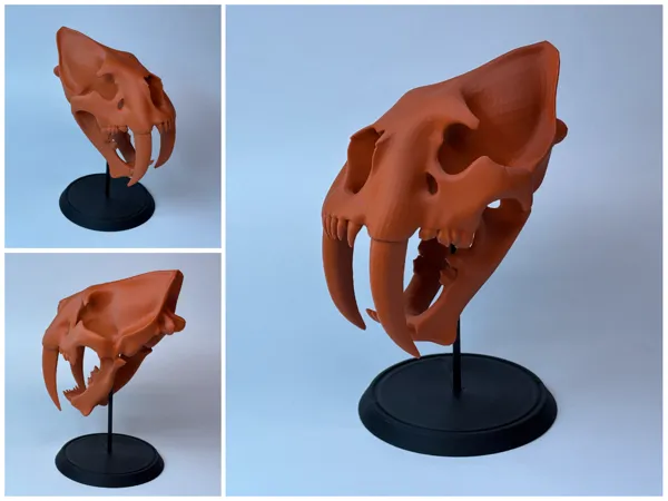 https://makerworld.bblmw.com/makerworld/model/USb0123dbc883dbb/design/2025-04-13_312df0ce4d111.png