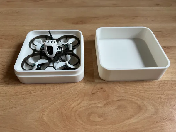 https://makerworld.bblmw.com/makerworld/model/USb01a499ad38913/design/2025-07-22_9078f96340b0e.jpg