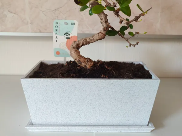 https://makerworld.bblmw.com/makerworld/model/USb01f3a37432b6/design/2025-10-08_99eb97e63a954.jpg
