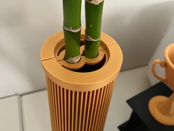 https://makerworld.bblmw.com/makerworld/model/USb01fc07cb2a52d/design/2025-09-18_db33b6f9841c2.jpeg