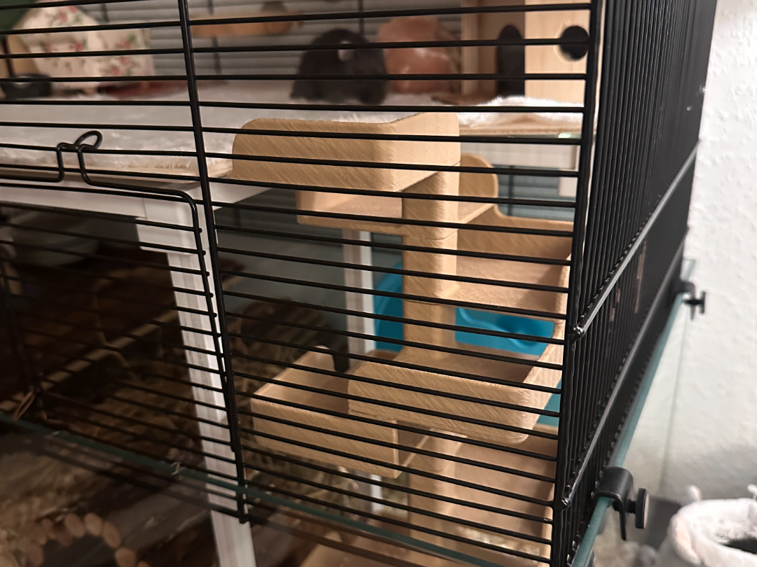 Modular (dwarf) hamster stairs, build your tower!