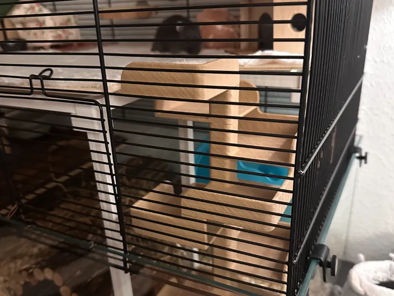 Modular (dwarf) hamster stairs, build your tower!