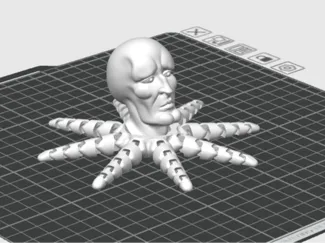 Handsome Octopus