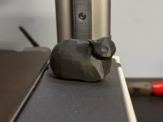 Spinning cat meme