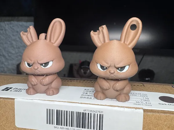 https://makerworld.bblmw.com/makerworld/model/USb026c8992affa7/design/e3aff2437e7d8a57.jpg