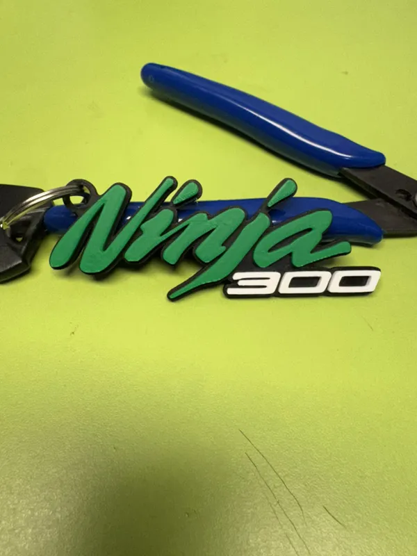 https://makerworld.bblmw.com/makerworld/model/USb0276eb3e56d78/design/2025-08-12_pi57t9uon3tv.jpg
