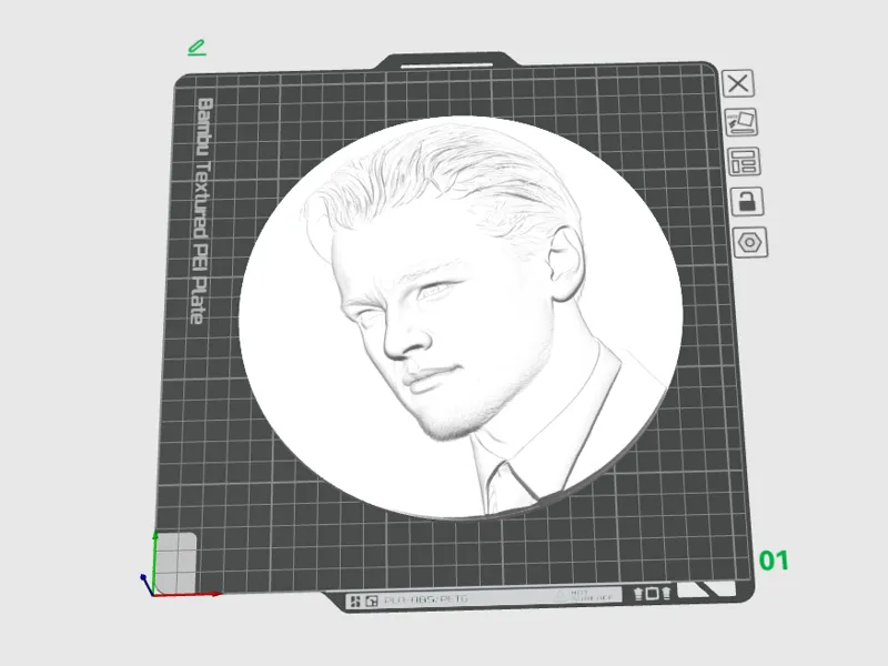 Leonardo di Caprio relief