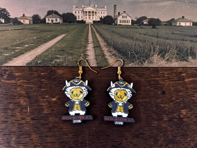 Llama DC earrings