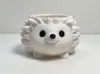 Hedgehog Succulent Planter - AMS
