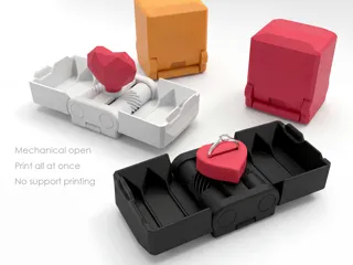 Ring/Gift Box