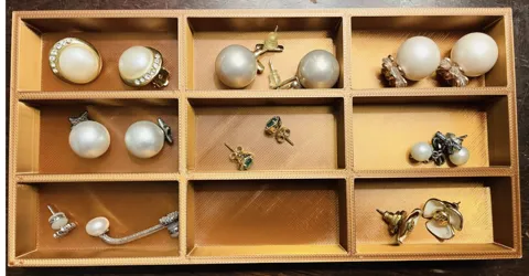 earring organizer