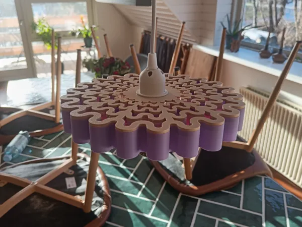 https://makerworld.bblmw.com/makerworld/model/USb03a42229d2c20/design/2026-01-14_5edba0cb4de0e8.jpg