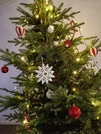 Flocon de neige décoratif — photo 3