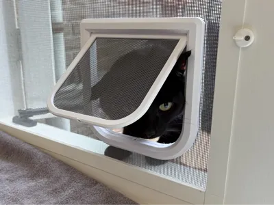Cat flap for bug screen