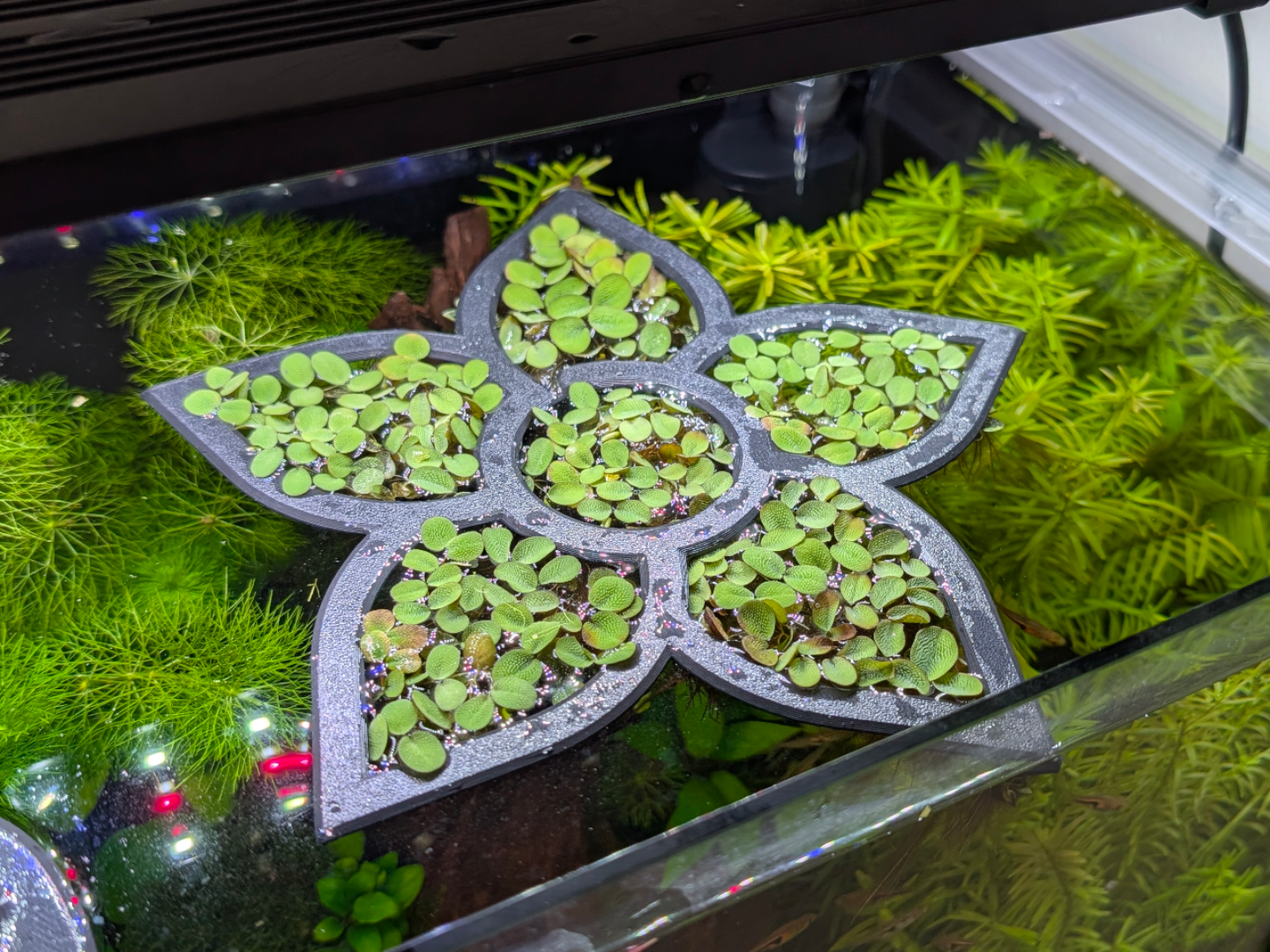 Flower Floating Aquarium Ring