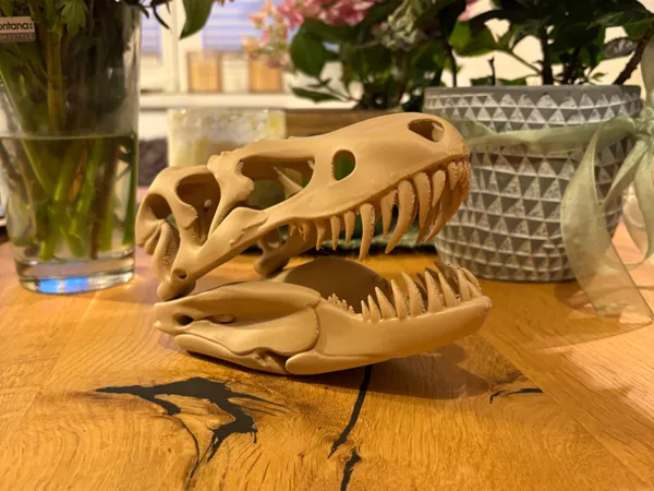 https://makerworld.bblmw.com/makerworld/model/USb03e07c6130237/design/2025-06-08_3b11d58f01eaf.jpeg