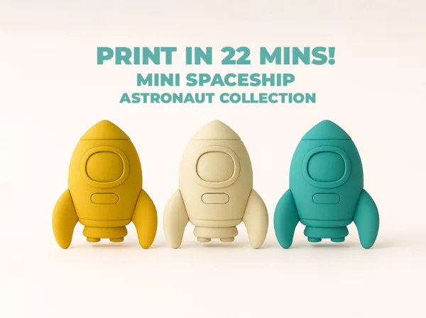 https://makerworld.bblmw.com/makerworld/model/USb03ff1142a83/design/2025-08-19_7f7b12862718c8.jpg