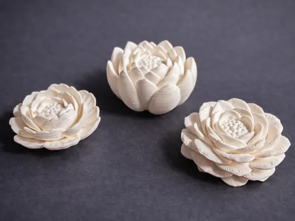 https://makerworld.bblmw.com/makerworld/model/USb04603d2c08023/design/178d33f6350f2409.png