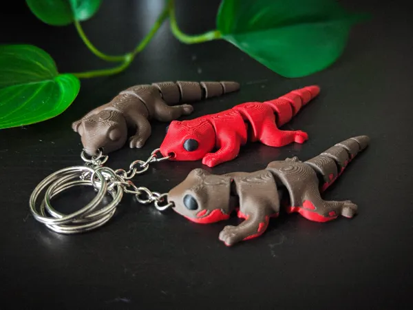 https://makerworld.bblmw.com/makerworld/model/USb04637949edf0b/design/2025-07-09_fe2b68a5b38a08.jpg
