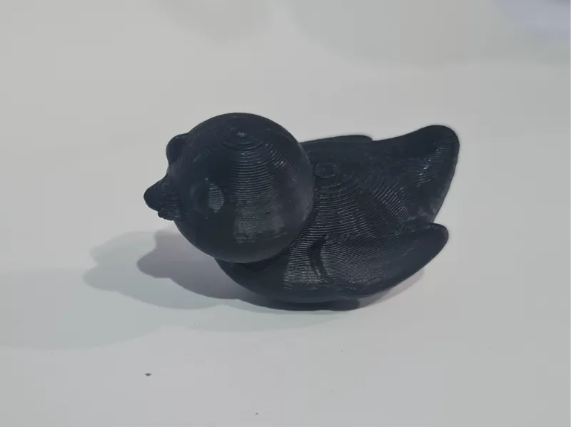 kaczuszka / duck