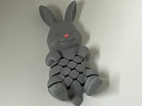 https://makerworld.bblmw.com/makerworld/model/USb04c32de65123/design/1fd2c3a857183231.jpeg