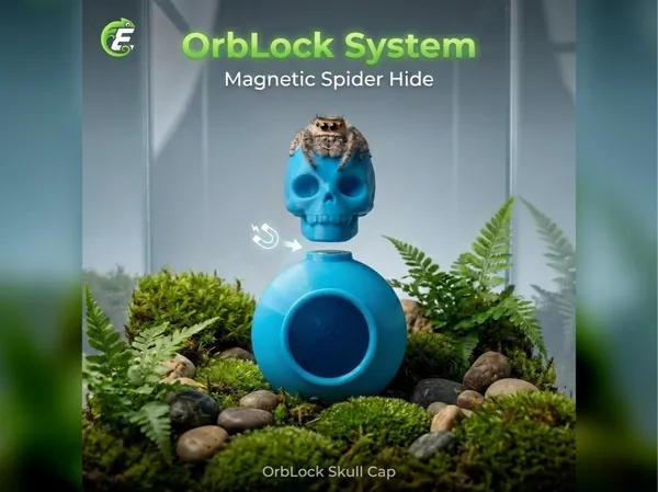 https://makerworld.bblmw.com/makerworld/model/USb04dbd5c0c906b/design/ebaf619679724e35.jpg