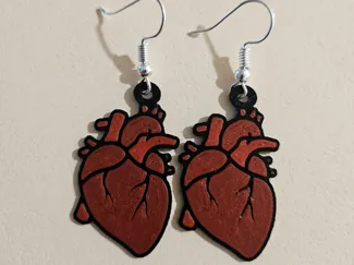 Anatomical Heart Earerings