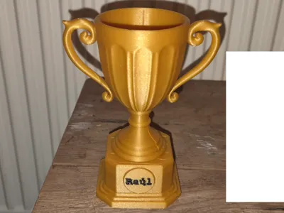 Trophy cup prize with custom name