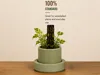 Standard Aroid Pot (PLA)