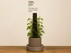 Mature Aroid Pot (PLA)