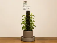 Mature Aroid Pot (PLA)