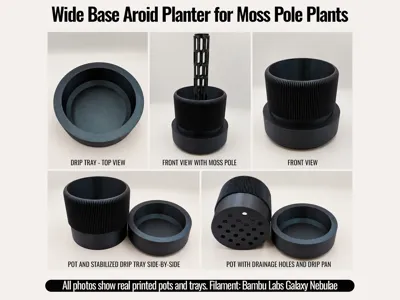 Wide Base Aroid Planter for Moss Pole Plants