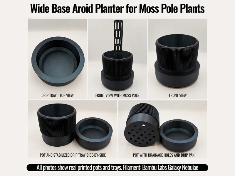 Wide Base Aroid Planter for Moss Pole Plants
