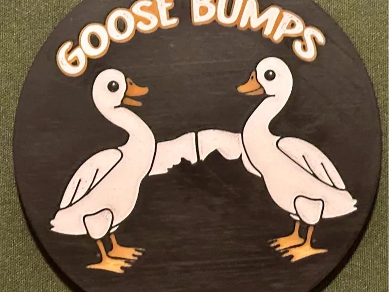 Goose Bumps Coaster