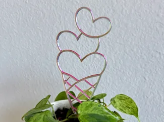 Heart Cone Trellis