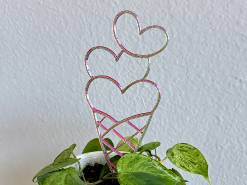 Heart Cone Trellis