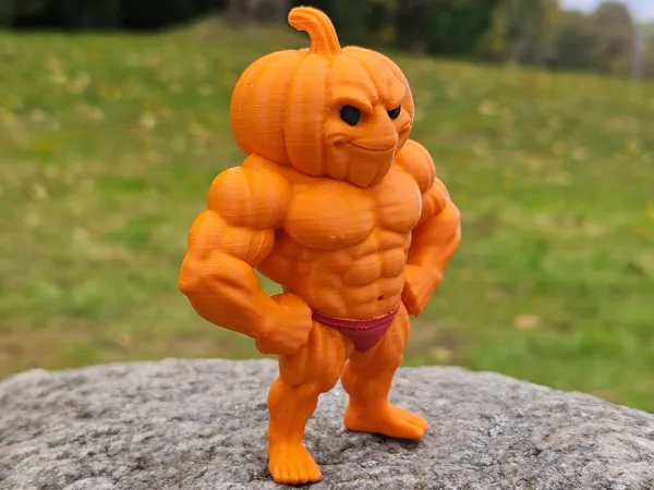 https://makerworld.bblmw.com/makerworld/model/USb05c5e51a41924/design/2025-10-06_e023b63879a0a8.jpg