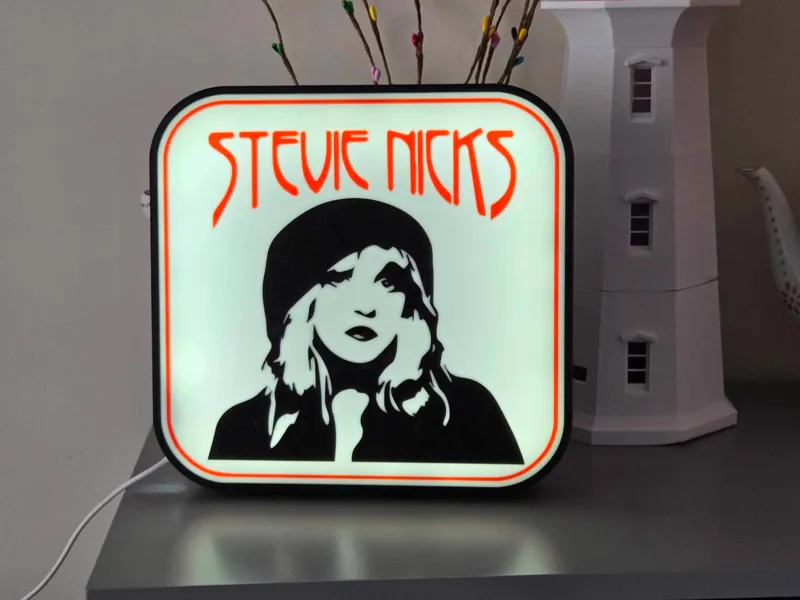Stevie Nicks Light Box