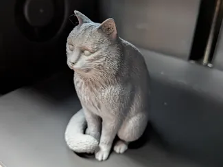 Slightly chubby sitting cat